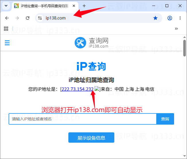 老鱼加速器设置电脑全局IP教程：查询IP地址