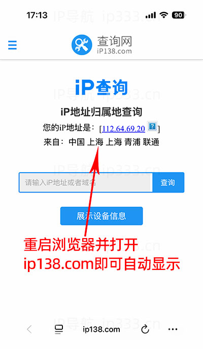 苹果手机设置L2TP直连IP教程：查询IP地址
