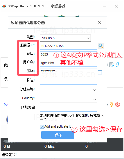 SSTap设置电脑/虚拟机全局IP教程：按格式填入IP信息