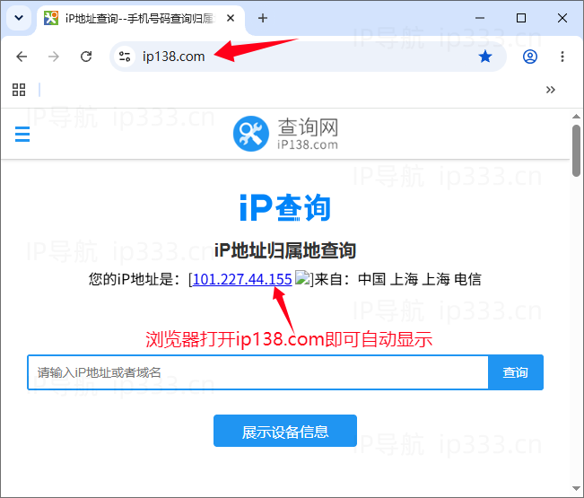 SSTap设置电脑/虚拟机全局IP教程：查询IP地址